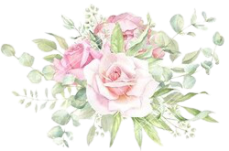 розовые светлые  (260) (229x151, 65Kb)
